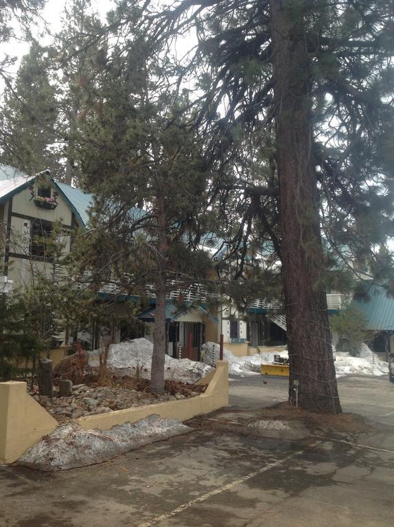 Tahoe Chalet Inn, The Theme Inn Lake Tahoe Airport Dış mekan fotoğraf